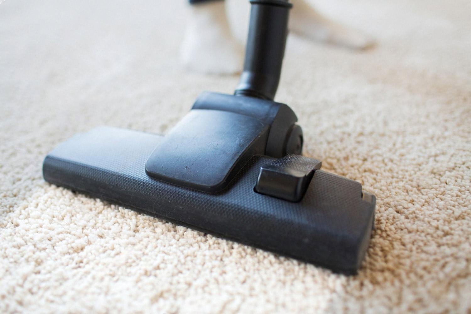 Close-up of a vacuum cleaner head pressing into a beige high-pile carpet